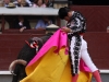 Tauromaquia